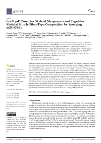 Lncmyod Promotes Skeletal Myogenesis and Regulates Skeletal Muscle Fiber-Type Composition by Sponging Mir-370-3P