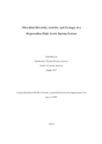 Microbial Diversity, Activity, and Ecology of a Hypersaline High Arctic Spring System