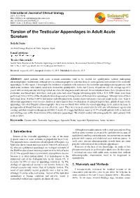 Torsion of the Testicular Appendages in Adult Acute Scrotum