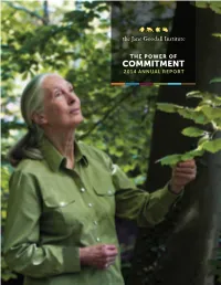 Commitment 2014 Annual Report