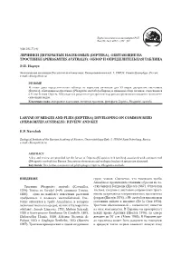Developing on Common Reed (Phragmites Australis): Review and Key