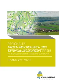 2020 12 FREK Endbericht.Pdf