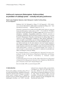 Anthocoris Nemorum (Heteroptera: Anthocoridae) As Predator of Cabbage Pests – Voracity and Prey Preference