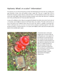 Hydrants: What's in a Color? Information!