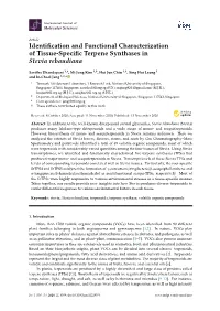 Identification and Functional Characterization of Tissue-Specific