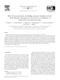 Role of Toxin Activation on Binding and Pore Formation Activity of the Bacillus Thuringiensis Cry3 Toxins in Membranes of Leptinotarsa Decemlineata (Say)