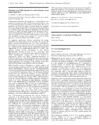 Glutamate and GABA Dynamics in Early Ischaemia of Rat