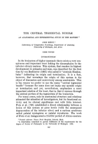 THE CENTRAL TEGMENTAL BUNDLE I N the Brainstem of Higher