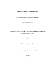University of Southampton