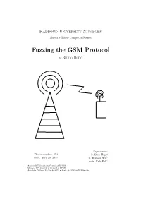 Fuzzing the GSM Protocol