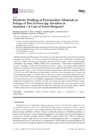 Metabolic Profiling of Pyrrolizidine Alkaloids in Foliage of Two Echium Spp. Invaders in Australia—A Case of Novel Weapons?