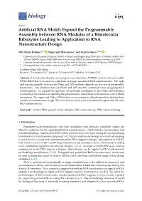 Artificial RNA Motifs Expand the Programmable Assembly Between