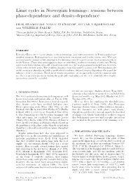 Limit Cycles in Norwegian Lemmings: Tensions Between Phase-Dependence and Density-Dependence