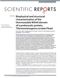 Biophysical and Structural Characterization of the Thermostable