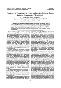 Detection of Virus-Specific Immunoglobulins Using a Doubly Labeled Fluorescein- 125I Antibody A