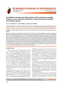 Cannibalism Among Same-Aged Nymphs of the Omnivorous Predator Dicyphus Errans (Hemiptera: Miridae) Is Affected by Food Availability and Nymphal Density