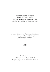 Exploring the Concept of Regulatory Space: Employment and Working Time Regulation in the Gig-Economy