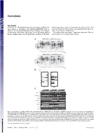 Phosphoproteomic Characterization of DNA Damage Response in Melanoma Cells Following MEK/PI3K Dual Inhibition