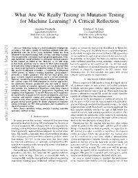 What Are We Really Testing in Mutation Testing for Machine