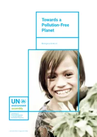 Towards a Pollution-Free Planet Background Report