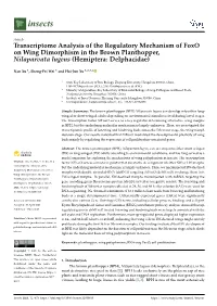Transcriptome Analysis of the Regulatory Mechanism of Foxo on Wing Dimorphism in the Brown Planthopper, Nilaparvata Lugens (Hemiptera: Delphacidae)