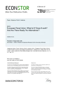 European Fiscal Union: What Is It? Does It Work? and Are There Really 'No Alternatives'?