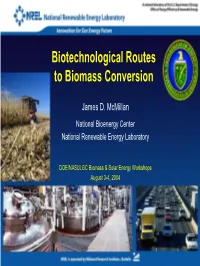 Biotechnological Routes to Biomass Conversion