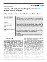 Designing Ultraconserved Elements for Acari Phylogeny