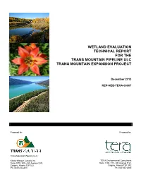 Wetland Evaluation Technical Report for the Trans Mountain Pipeline Ulc Trans Mountain Expansion Project