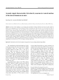 Acoustic Signal Characteristic Detection by Neurons in Ventral Nucleus of the Lateral Lemniscus in Mice