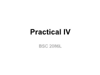 Practical IV