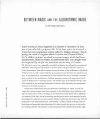 Between Magic and the Algorithmic Image
