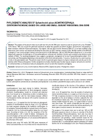 PHYLOGENETIC ANALYSIS of Sphaerirostris Picae (ACANTHOCEPHALA: CENTRORHYNCHIDAE) BASED on LARGE and SMALL SUBUNIT RIBOSOMAL DNA GENE