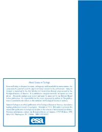 The Role of Nearshore Ecosystems As Fish and Shellfish Nurseries
