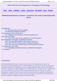 Skeletal Development in Human: a Model for the Study of Developmental Genes Page 1 Sur 10