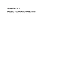 APPENDIX a – PUBLIC FOCUS GROUP REPORT Anchorage Public Library Community Plan Public Focus Group Report