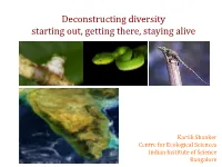 Deconstructing Diversity Starting Out, Getting There, Staying Alive