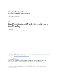 Risk Quantification of Maple Trees Subjected to Wind Loading Cihan Ciftci University of Massachusetts Amherst, Cihanc58@Gmail.Com