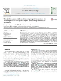 The Distillers Grains with Solubles As a Perspective Substrate for Obtaining Biomass and Producing Bio-Hydrogen by Rhodobacter Sphaeroides