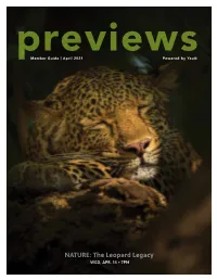 NATURE: the Leopard Legacy WED, APR
