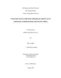 Open Doctoral Dissertation.Pdf