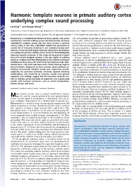 Harmonic Template Neurons in Primate Auditory Cortex Underlying Complex Sound Processing