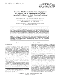 Occurrence of the Free and Peptide Forms of Pyroglutamic Acid In