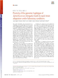 Plasticity of the Genomic Haplotype of Synechococcus Elongatus Leads to Rapid Strain Adaptation Under Laboratory Conditions Justin Ungerera, Kristen E