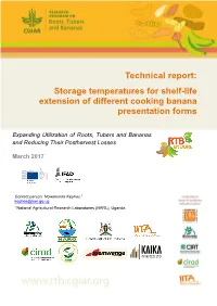 Storage Temperatures for Shelf-Life Extension of Different Cooking Banana Presentation Forms