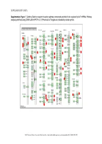 Supplementary Data