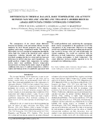 Differences in Thermal Balance, Body Temperature and Activity