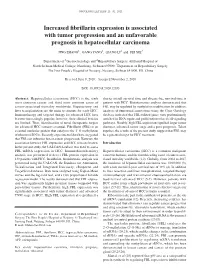Increased Fibrillarin Expression Is Associated with Tumor Progression and an Unfavorable Prognosis in Hepatocellular Carcinoma