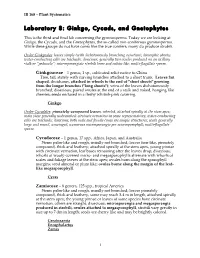 Laboratory 8: Ginkgo, Cycads, and Gnetophytes