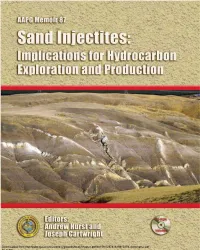 Sand Injectites: Implications for Hydrocarbon Exploration and Production